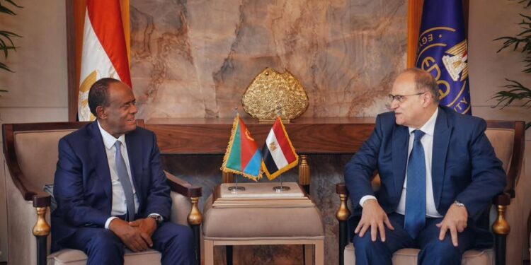 رئيس هيئة الدواء المصري يبحث مع وفد إيرتري رفيع المستوى وتعزيز التعاون المشترك فى القطاع الدوائي