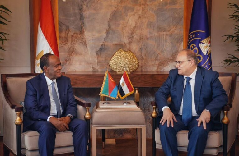 رئيس هيئة الدواء المصري يبحث مع وفد إيرتري رفيع المستوى وتعزيز التعاون المشترك فى القطاع الدوائي