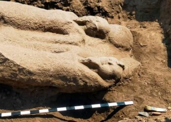 العثور على تمثال أثري ضخم بالشرقية أثناء أعمال استكشاف