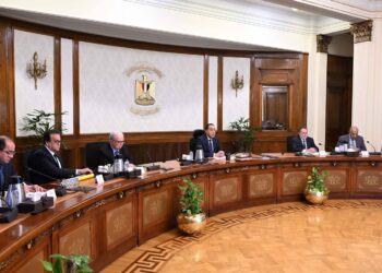 مدبولي يوجه بإطلاق مبادرة للتحول للطاقة الشمسية والعودة للمواعيد الطبيعية لعمل المحال التجارية