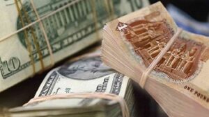 استقرار نسبي في أسعار العملات الأجنبية أمام الجنيه المصري