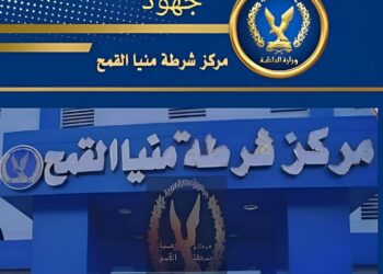 ضربة أمنية قوية ضد تجار المخدرات بمركز منيا القمح في الشرقية