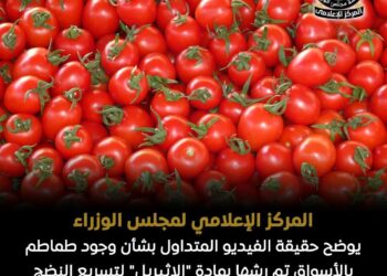 الحكومة تنفي شائعة “طماطم الإثيريل”