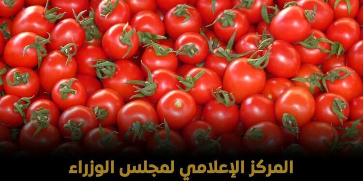 الحكومة تنفي شائعة “طماطم الإثيريل”