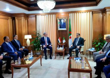 وزير البترول يبحث مع نظيره الجزائري تعزيز الشراكة الاستراتيجية في قطاع الطاقة