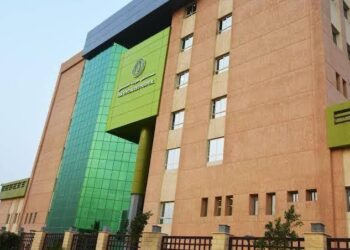 وحدة السكتة الدماغية بمستشفى طيبة التخصصي بالأقصر تحصد “الوسام الذهبي” من المنظمة العالمية للسكتة الدماغية