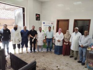 “الزراعة”: تحصين 2.4 مليون رأس ماشية ضد الحمى القلاعية والوادي المتصدع ضمن حملتها القومية بالمحافظات