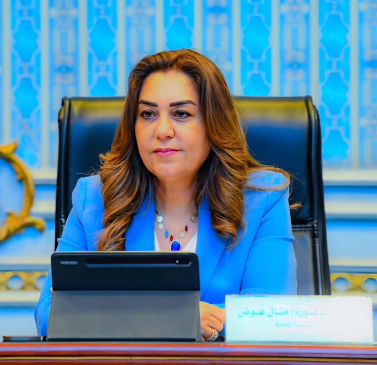 وزيرة التنمية المحلية والبيئة تعلن الانتهاء من المخططات التفصيلية لمدينة القنطرة شرق بالإسماعيلية و3 قرى بأسيوط لضبط منظومة العمران