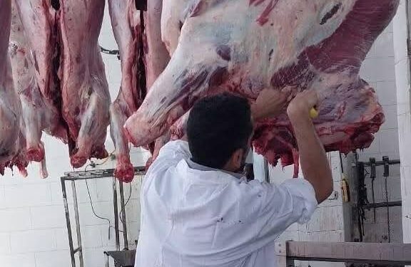 وزارة الزراعة: ذبح ٧٦٨١ أضحية بالمجازر الحكومية مجاناً في ثالث أيام العيد والإجمالي يصل لـ ٢٩٥٧٢ خلال ٣ أيام