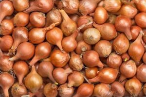 صادرات البصل تتجاوز 85 ألف طن