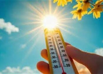 شبورة وأتربة ورياح اليوم