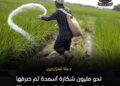 «الزراعة» تعلن صرف مليون شكارة أسمدة مدعمة للمزارعين عبر «كارت الفلاح» لضمان استقرار الموسم الصيفي
