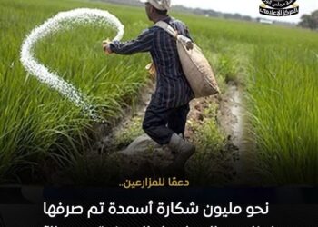«الزراعة» تعلن صرف مليون شكارة أسمدة مدعمة للمزارعين عبر «كارت الفلاح» لضمان استقرار الموسم الصيفي