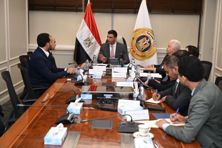 الحكومة تستهدف تشغيل 7000 مصنع بالطاقة الشمسية لزيادة التنافسية وخفض استهلاك الغاز