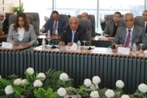 قرارات تاريخية لدعم الصناعة في مصر وتوفير الطاقة لمشروعات عملاقة