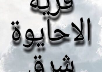 ملحمة خير في الأحايوة.. 750 ألف جنيه خلال 3 أيام