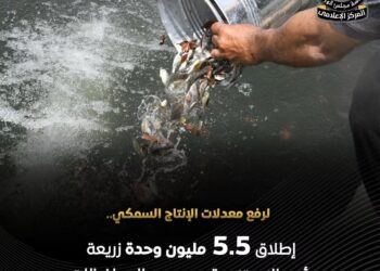 “حماية البحيرات” يواصل تنمية المسطحات المائية بإطلاق زريعة الأسماك في ٥ محافظات لعام ٢٠٢٦