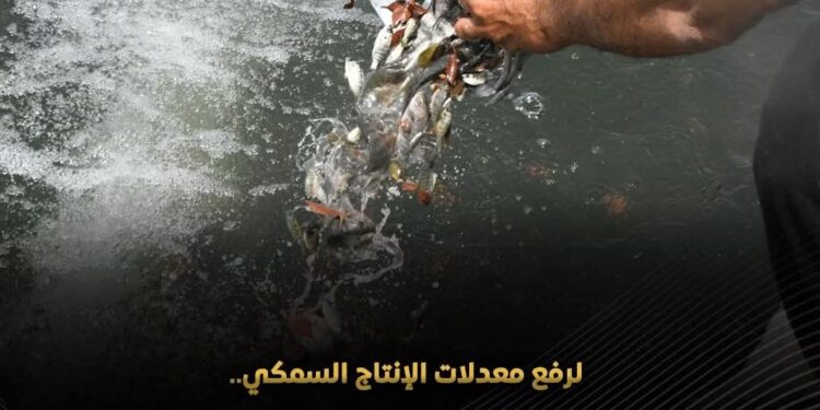 “حماية البحيرات” يواصل تنمية المسطحات المائية بإطلاق زريعة الأسماك في ٥ محافظات لعام ٢٠٢٦