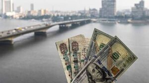 الدولار يحافظ على استقراره في البنوك المصرية اليوم