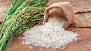 أسعار الأرز اليوم.. الطن يبدأ من 14 ألف جنيه