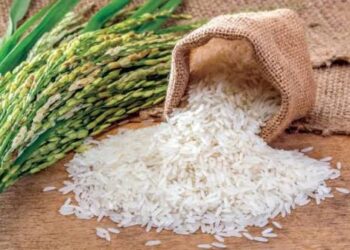 أسعار الأرز اليوم.. الطن يبدأ من 14 ألف جنيه