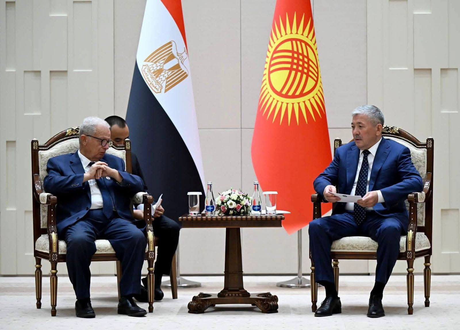 فرص جديدة أمام الشركات المصرية في قيرغيزستان بعد مباحثات تعزيز التجارة والاستثمار